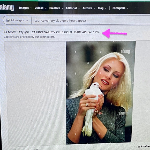 The Variety Club I 1997 Gold Heart Pin I Children's Charity - Picture 14 of 14